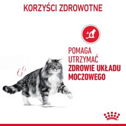 Royal Canin Urinpleje I Sovs 12X85g