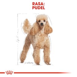 Royal Canin Puddel Voksen 1,5 Kg