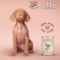 OLLO Puppy Pure Kalkun - vdfoder til hunde - 400 g