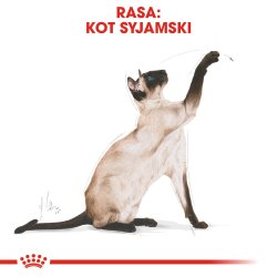 Royal Canin Siamese Voksen - Trfoder Til Kat - 2 Kg