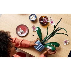 Lego Icons 10311 Orkide