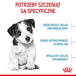 Royal Canin Mini Puppy Shn - Trfoder Til Hunde - 2 Kg