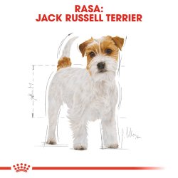 Royal Canin Jack Russell Voksen Trfoder Til Hunde - 1,5 Kg