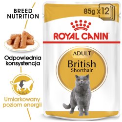 Royal Canin Britisk Korthr Pakke 12X85g