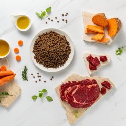 RAW PALEO Ultra Mini Puppy Beef - trfoder til hvalpe af sm racer - 750 g