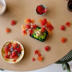 Lego Botanicals 10348 Japansk Rd Ahornbonsaitr