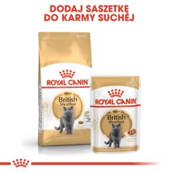 Royal Canin Britisk Korthr Pakke 12X85g
