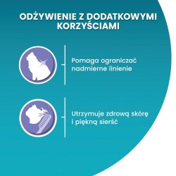 PURINA One Bifensis Coat & Hairball Chicken - trfoder til kattekillinger - 800 g