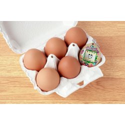 TAMAGOTCHI - ECO CELEBRATION EGG