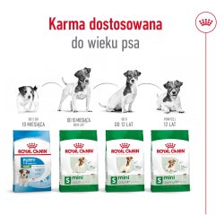 Royal Canin Adult Mini S - Trfoder Til Hunde - 2 Kg