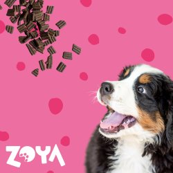 Zoya Coldpro Oksekd - Trfoder Til Hunde - 1 Kg