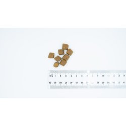 BULT Salmon with trout - trfoder til hunde - 12kg