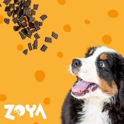Zoya Coldpro Lam - Trfoder Til Hunde - 1 Kg
