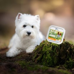 RAW PALEO Pate Mini Adult Kalkun - vdt hundefoder - 150 g