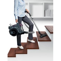 Bosch BGC05AAA1 stvsuger 1,5 L Beholder vakuum Dry Posels