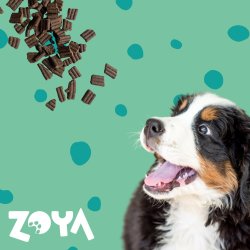 Zoya Coldpro Deer - Trfoder Til Hunde - 1 Kg