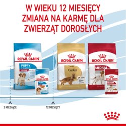 Royal Canin Shn Medium Hvalp I Sauce - Vd Hvalpefoder - 10X140g