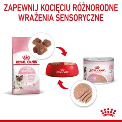 Royal Canin Babycat Instinctive - Vdfoder Til Katte - 195 G