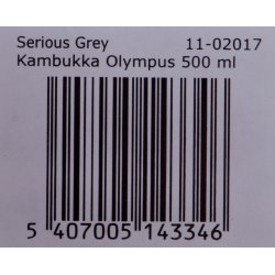 Kambukka Olympus Serious Grey - Termokrus, 500 Ml
