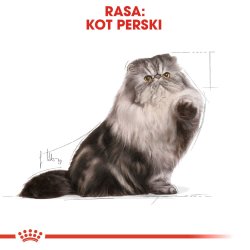 Royal Canin Perserkatte Trfoder 4 Kg Voksen Majs, Fjerkr