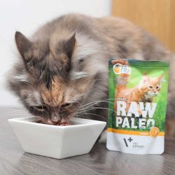 RAW PALEO Adult Cat Kalkun - vdt kattefoder - 100 g