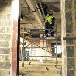 DeWALT DW0822-XJ laser niveau Linje-/punktniveau 10 m