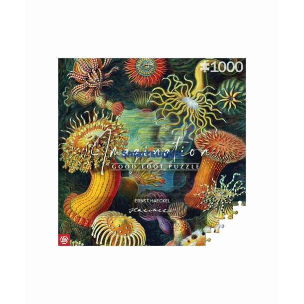 Imagination Puzzle: Ernst Haeckel Sea Creatures 1000 Elementer
