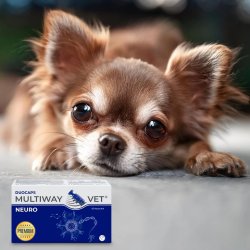 Jm Sante Multiway Vet Duocaps Neuro - Twist-Off Kapsler, Der Understtter Nervesystemet Til Hund Og Kat - 60 Stk
