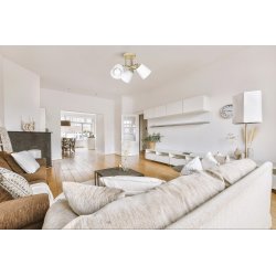 Activejet AJE-EMILY 3P GD loftbelysning E27 120 W