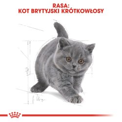 Royal Canin British Shorthair Kitten Katte Trfoder 2 Kg Fjerkr, Ris, Grntsager
