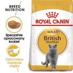 Royal Canin British Shorthair - Trfoder Til Kat - 2 Kg