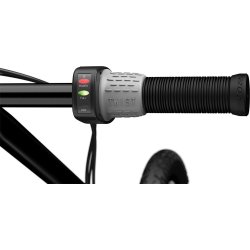 Elektrisk lbehjul Razor Ecosmart SUP