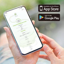 Zyxel Nwa55axe 1775 Mbit/S Ethernet (Poe)