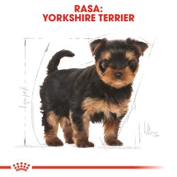 Royal Canin Yorkshire Terrier Hvalp - Trfoder Til Hunde - 1,5 Kg