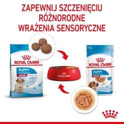 Royal Canin Shn Medium Hvalp I Sauce - Vd Hvalpefoder - 10X140g