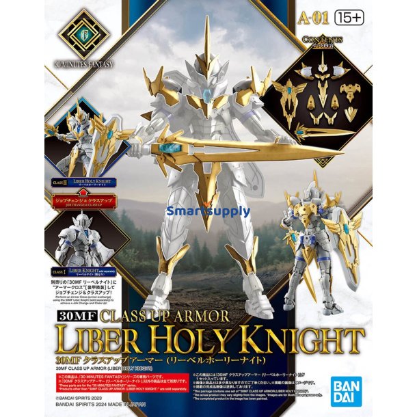 30Mf Class Up Armor (Liber Holy Knight)