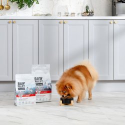 RAW PALEO Ultra Mini Adult Oksekd - trt hundefoder - 2 kg