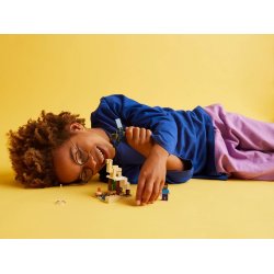 Lego Minecraft 21251 Steve's Desert Expedition