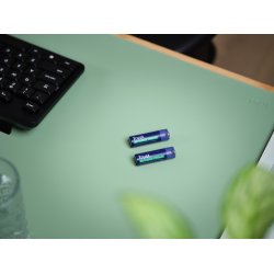 Trust 25584 Husholdningsbatteri Genopladeligt Batteri Aa