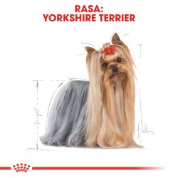 Royal Canin Yorkshire Terrier 0,5 Kg