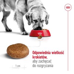 Royal Canin Maxi Adult 5+ - Trfoder Til Hunde - 15 Kg