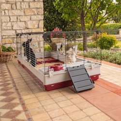 FERPLAST Krolik 160  - Bur