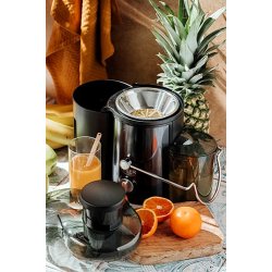 Juicer Adler Ad 4132
