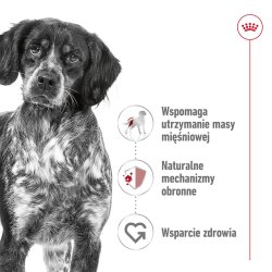 Royal Canin Shn Medium Voksen - Trfoder Til Hunde - 15 Kg