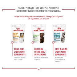 Royal Canin Kosttilskud Hundeimmunitet Og Fordjelseshvalp - Hundevitaminer - 100G