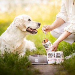 RAW PALEO Adult Monoprotein Pork - vdt hundefoder - 400 g