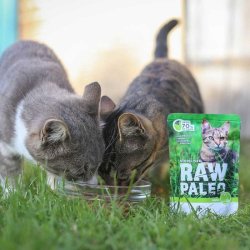 RAW PALEO Adult Cat Steriliseret Vildtkd - vd kattefoder - 100 g