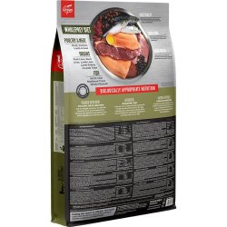 ORIJEN Tundra - trfoder til kattekillinger -  5,4 kg