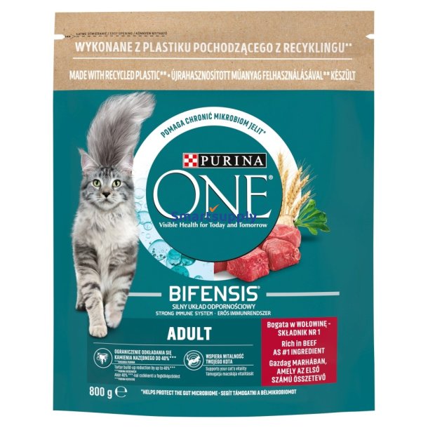 PURINA One Bifensis Adult Beef - trfoder til kattekillinger - 800 g