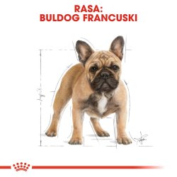 Royal Canin Bhn Fransk Bulldog Voksen - Trfoder Til Hunde - 9 Kg